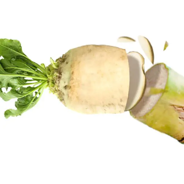 Beet Sugar vs. Cane Sugar: Which Is Healthier