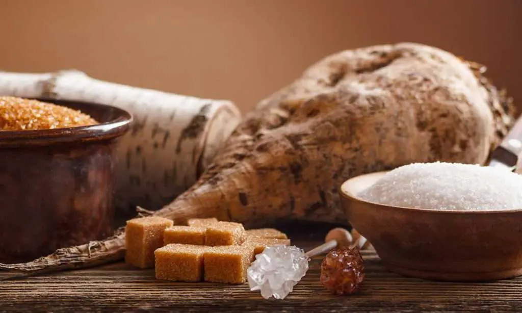 چرخه تولید شکر از چغندر قند