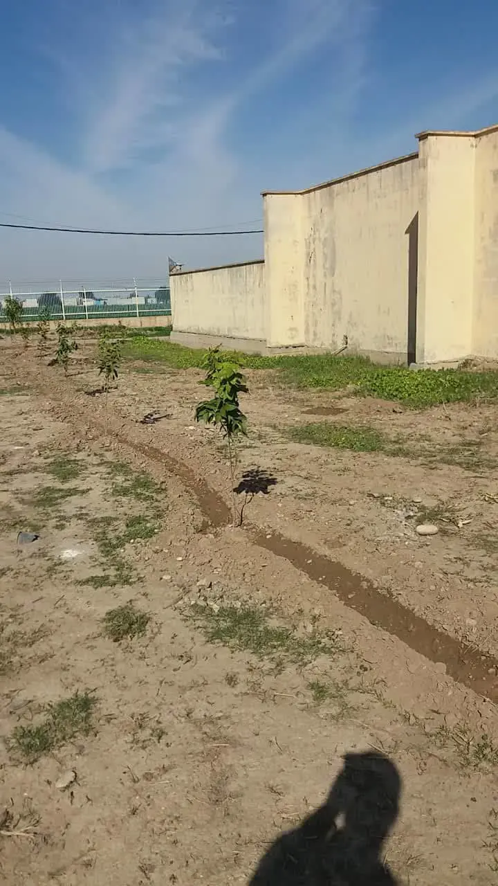 گرامیداشت روز جهانی زمین پاک با شعار ”سیاره در مقابل پلاستیک”