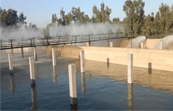 گرامیداشت روز جهانی زمین پاک با شعار ”سیاره در مقابل پلاستیک”