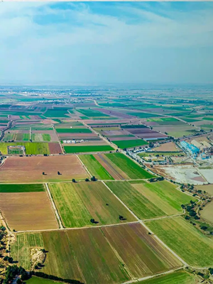 شرکت کشت و صنعت قند خاورمیانه